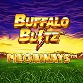 Tortuga Casino | Buffalo Blitz